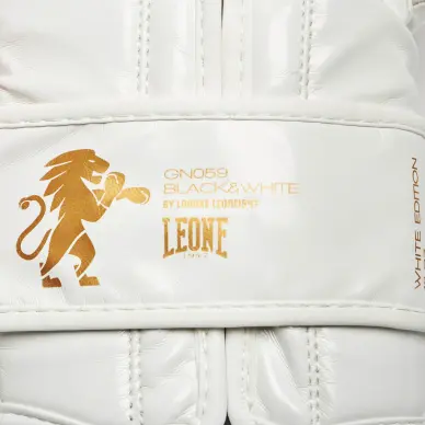 Gants de boxe Leone vintage - 13