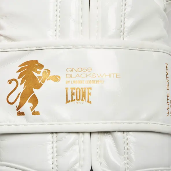 Gants de boxe Leone vintage