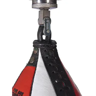 Poire de vitesse Leone - 4