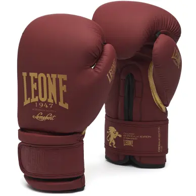 Gants de boxe Leone vintage - 14