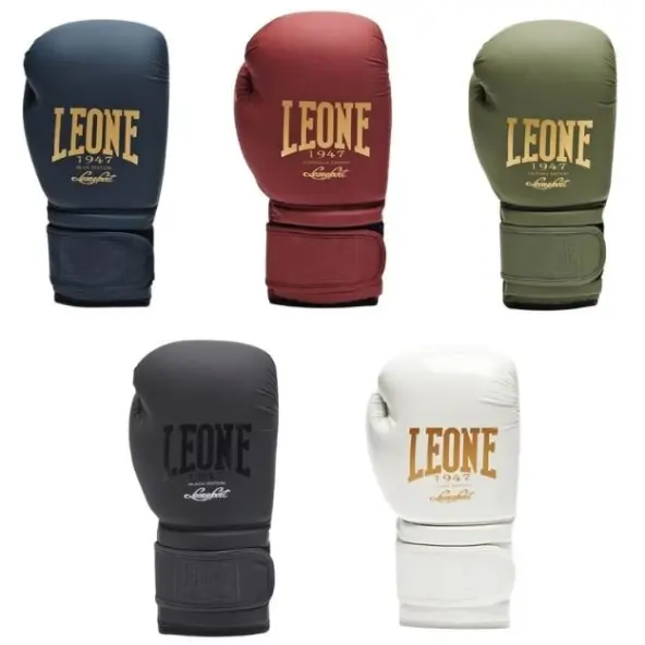 Gants de boxe Leone vintage