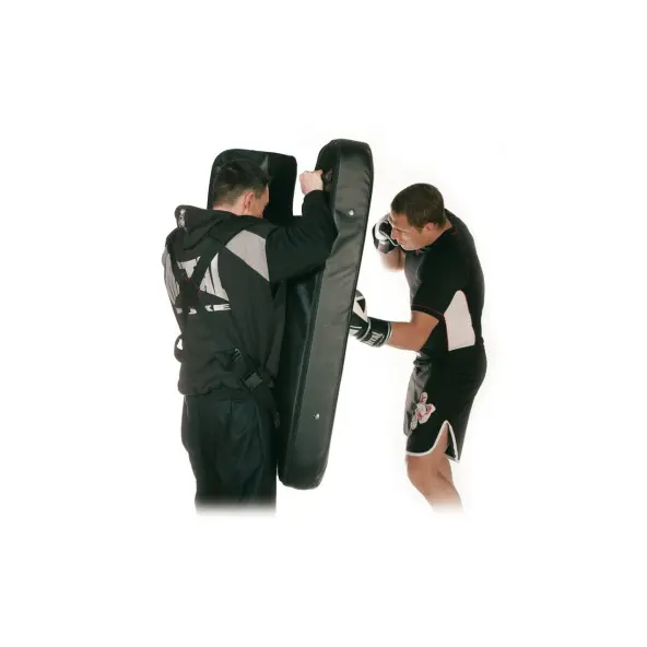 Bouclier de Frappe et Opposition