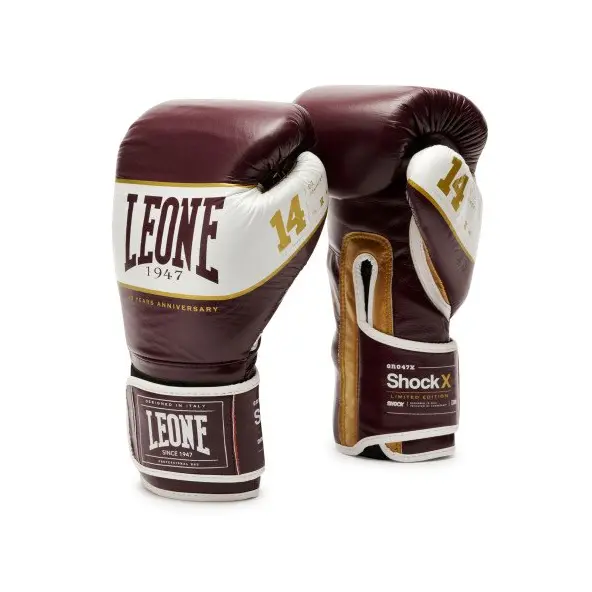 Gants de Boxe Leone Shock X Bordeaux