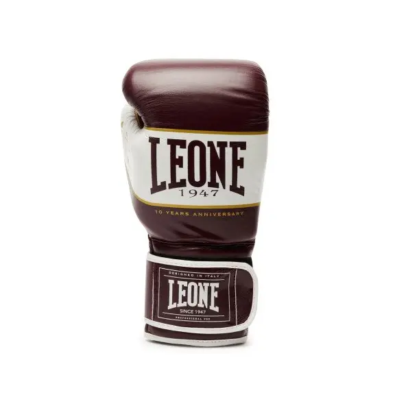 Gants de Boxe Leone Shock X Bordeaux