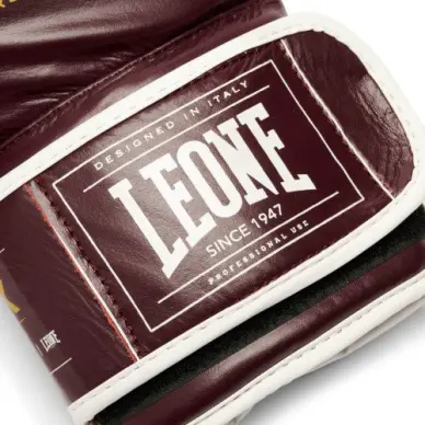 Gants de Boxe Leone Shock X Bordeaux - 6