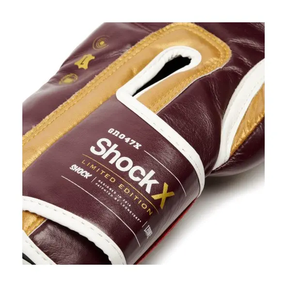 Gants de Boxe Leone Shock X Bordeaux