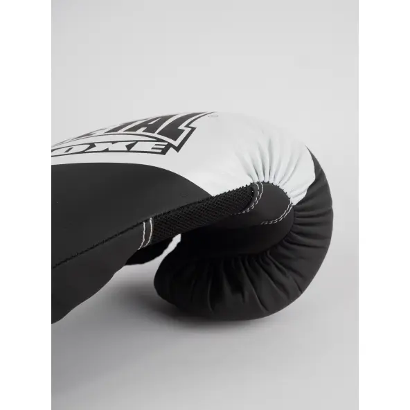 Gants de Boxe Blade Metal Boxe