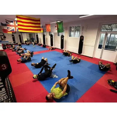 Sac de Frappe Pro Line Budofight - 2